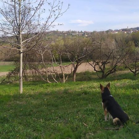 B&B Naturin - Cascina Colombaro Lauriano エクステリア 写真