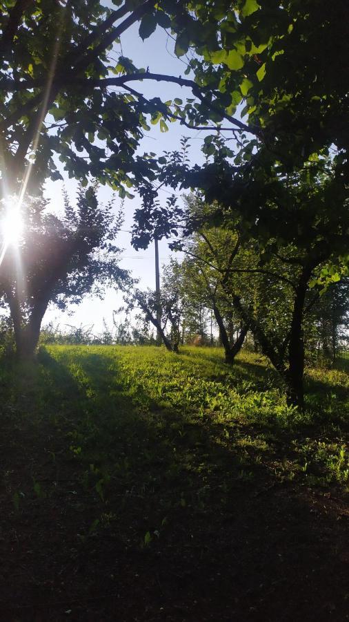 B&B Naturin - Cascina Colombaro Lauriano エクステリア 写真