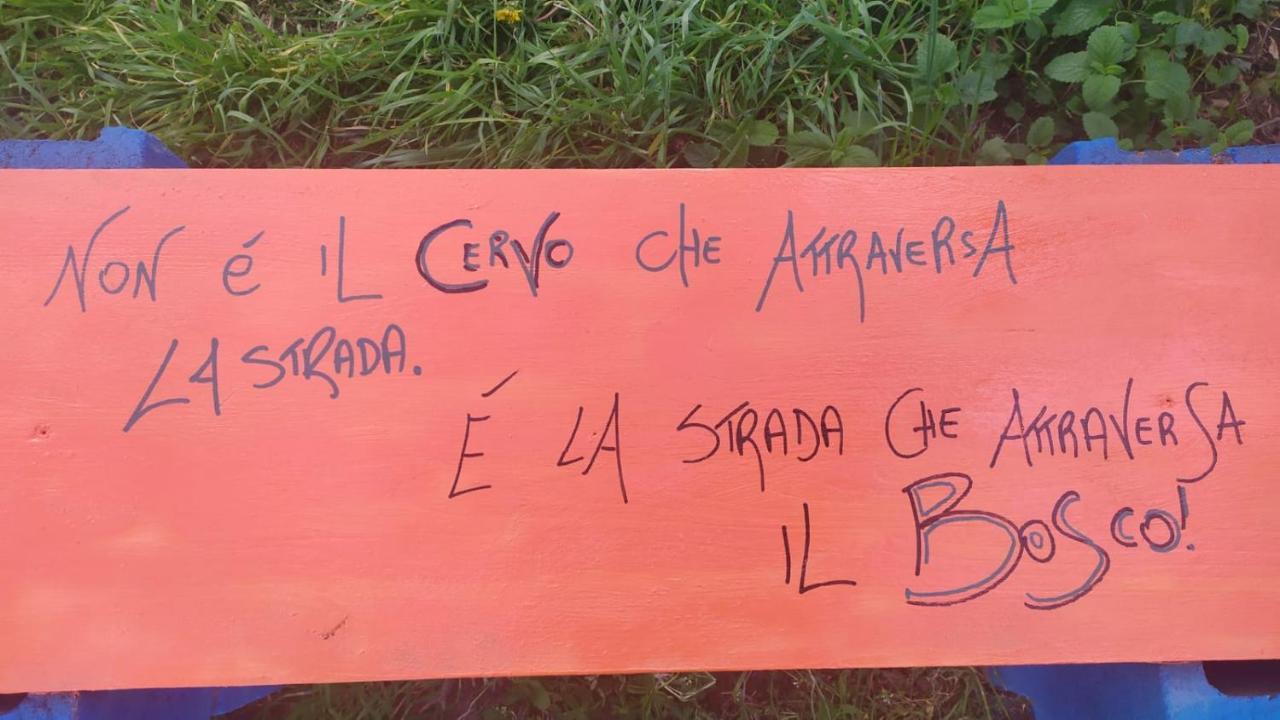 B&B Naturin - Cascina Colombaro Lauriano エクステリア 写真