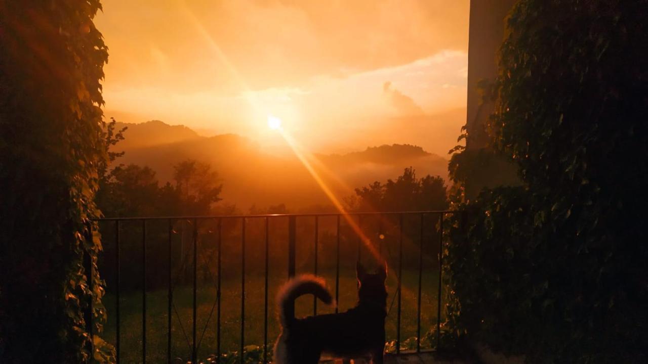 B&B Naturin - Cascina Colombaro Lauriano エクステリア 写真