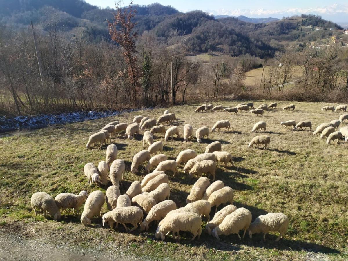 B&B Naturin - Cascina Colombaro Lauriano エクステリア 写真