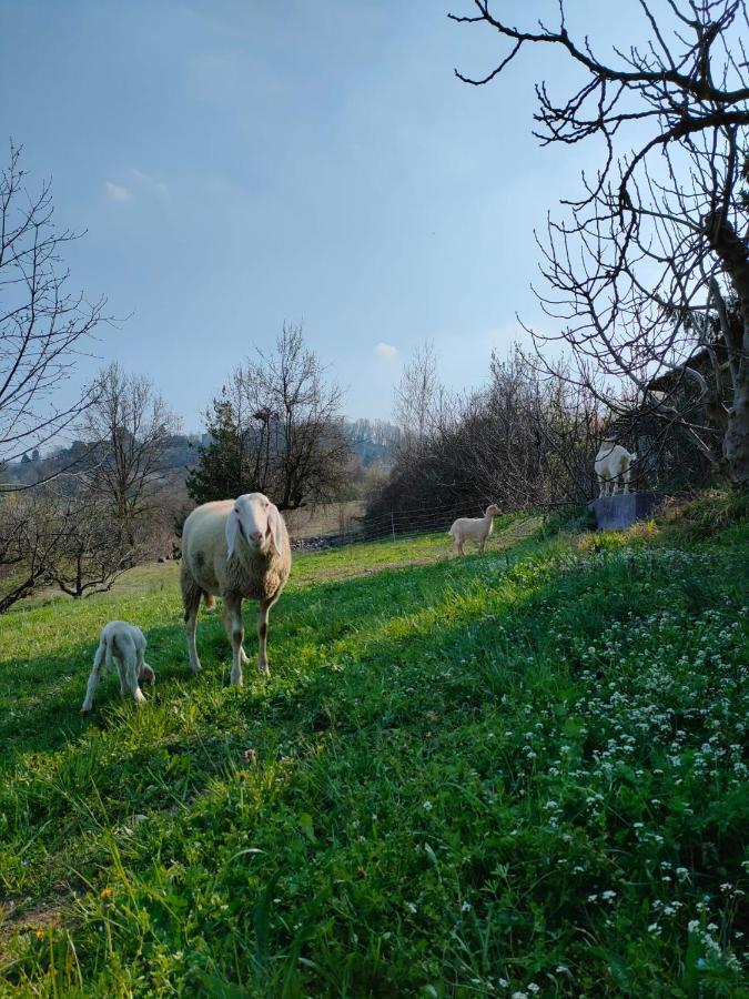 B&B Naturin - Cascina Colombaro Lauriano エクステリア 写真