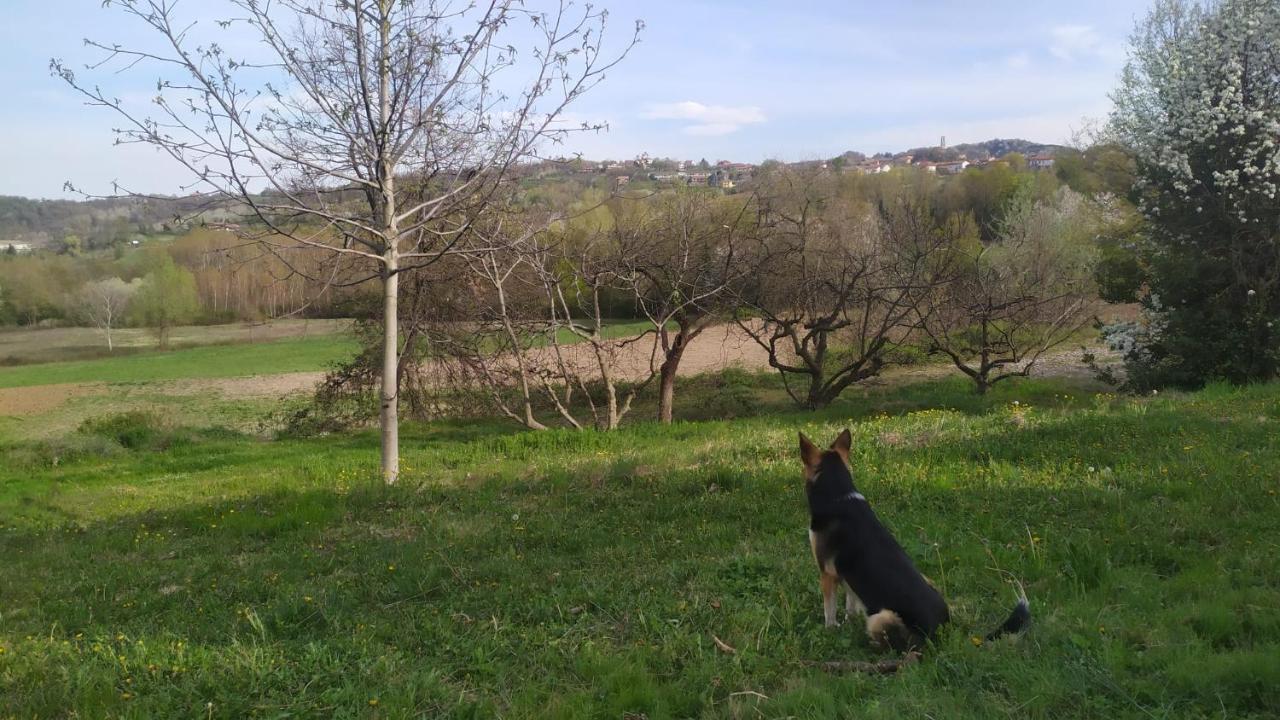 B&B Naturin - Cascina Colombaro Lauriano エクステリア 写真